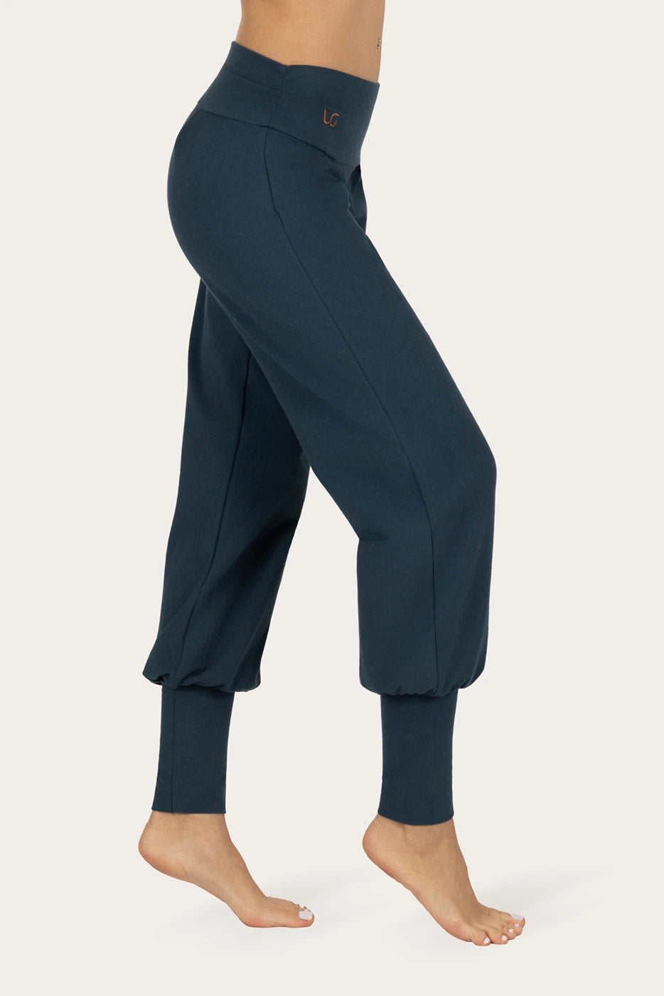 Dakini Yoga Harembroek - Orion